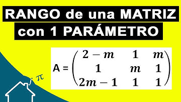 📌 RANGO de una matriz 🚩 en función de un PARÁMETRO
