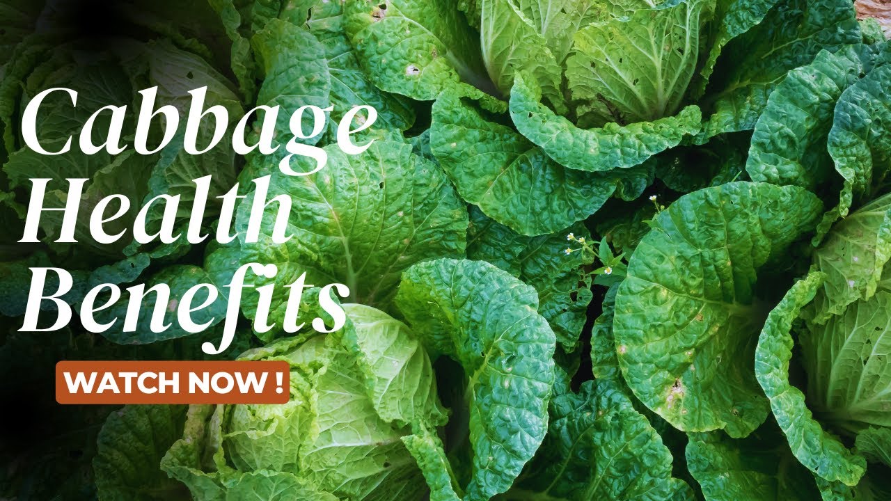 Shocking Benefits of Cabbage Soup You Must Know!