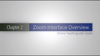 Zoom Interface Overview