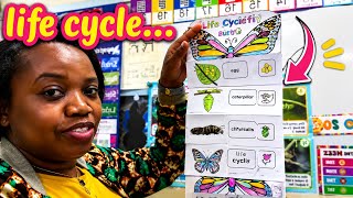 Butterfly Life Cycle 🦋 + Chia Seed Growth Update (So Satisfying!)