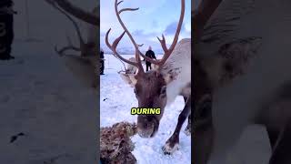 Nature’s Weirdest Superpowers!