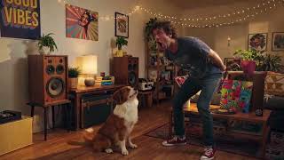 🐶 Dog Dances Perfectly In Rhythm — You Won’t Believe It!