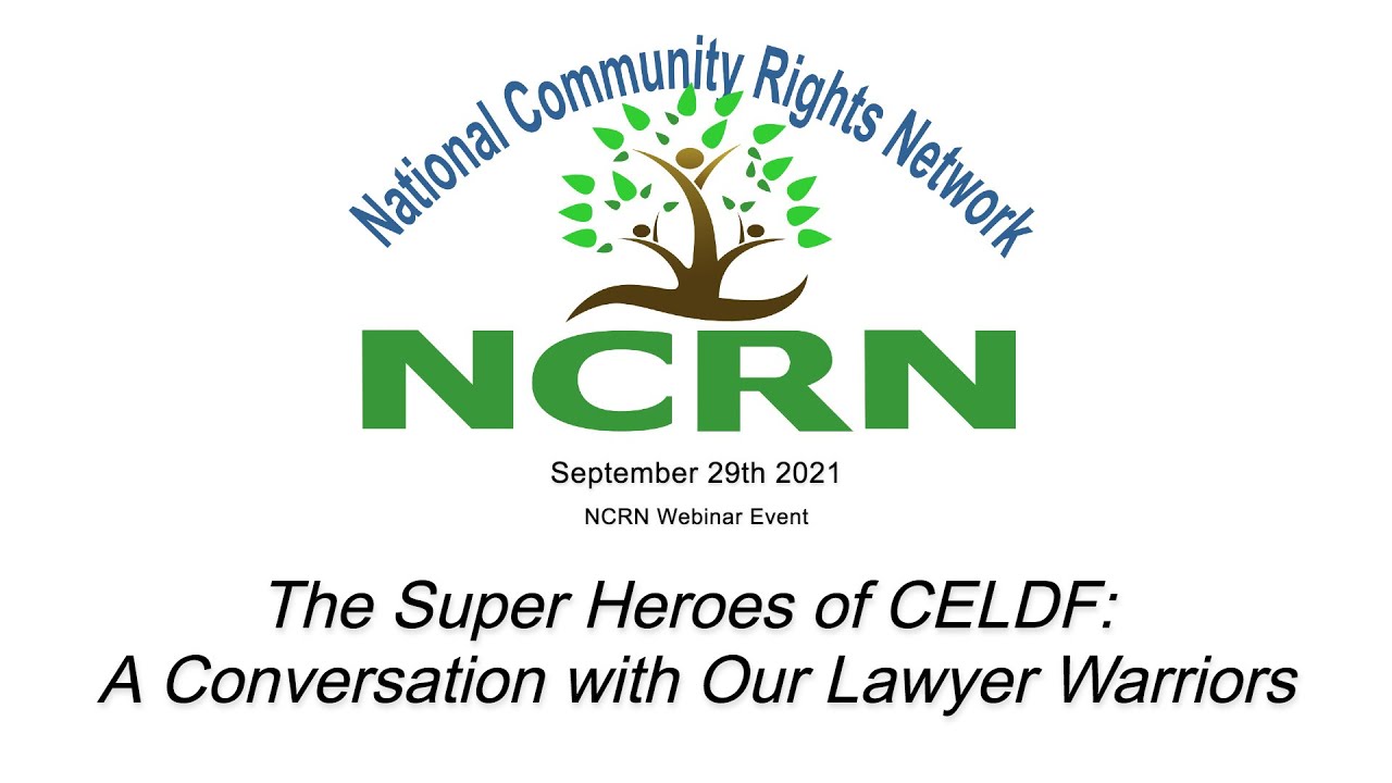 The Super Heroes of CELDF: A Conversation with Our Lawyer Warriors
