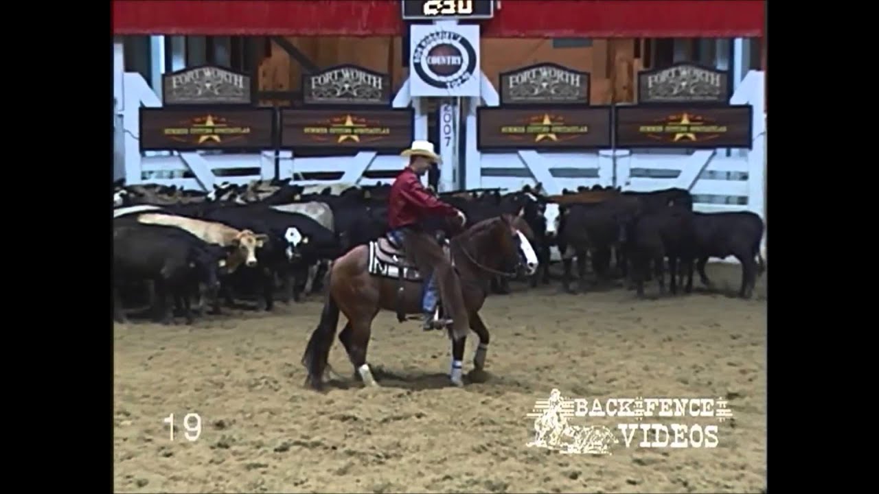 Stylin Cat Cutting Horse Stallion now available in Australia YouTube