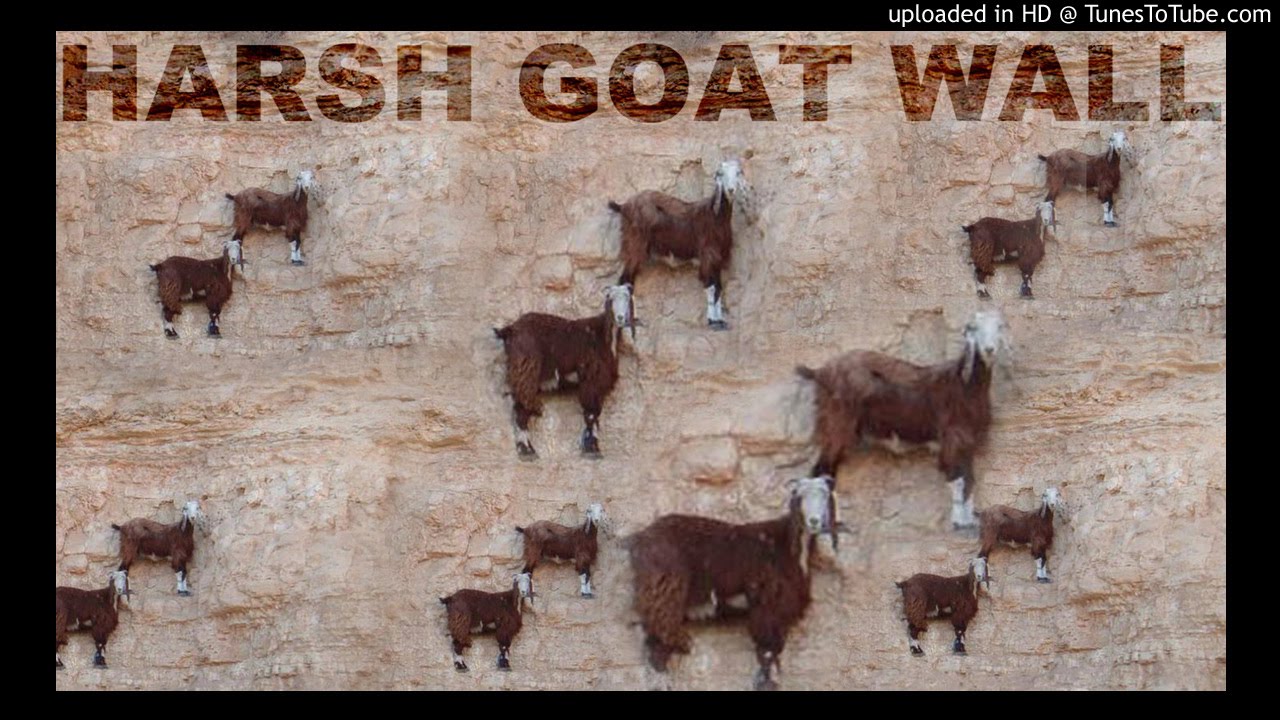 HARSH GOAT WALL
