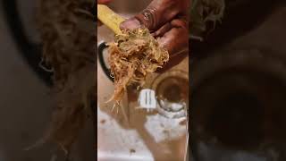 Removing  marijuana plant from Gardyn. #hydroponics #weed #weedroots #roots ￼