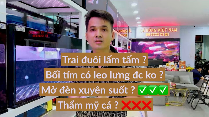 Trai đuôi của cá rồng là gì năm 2024