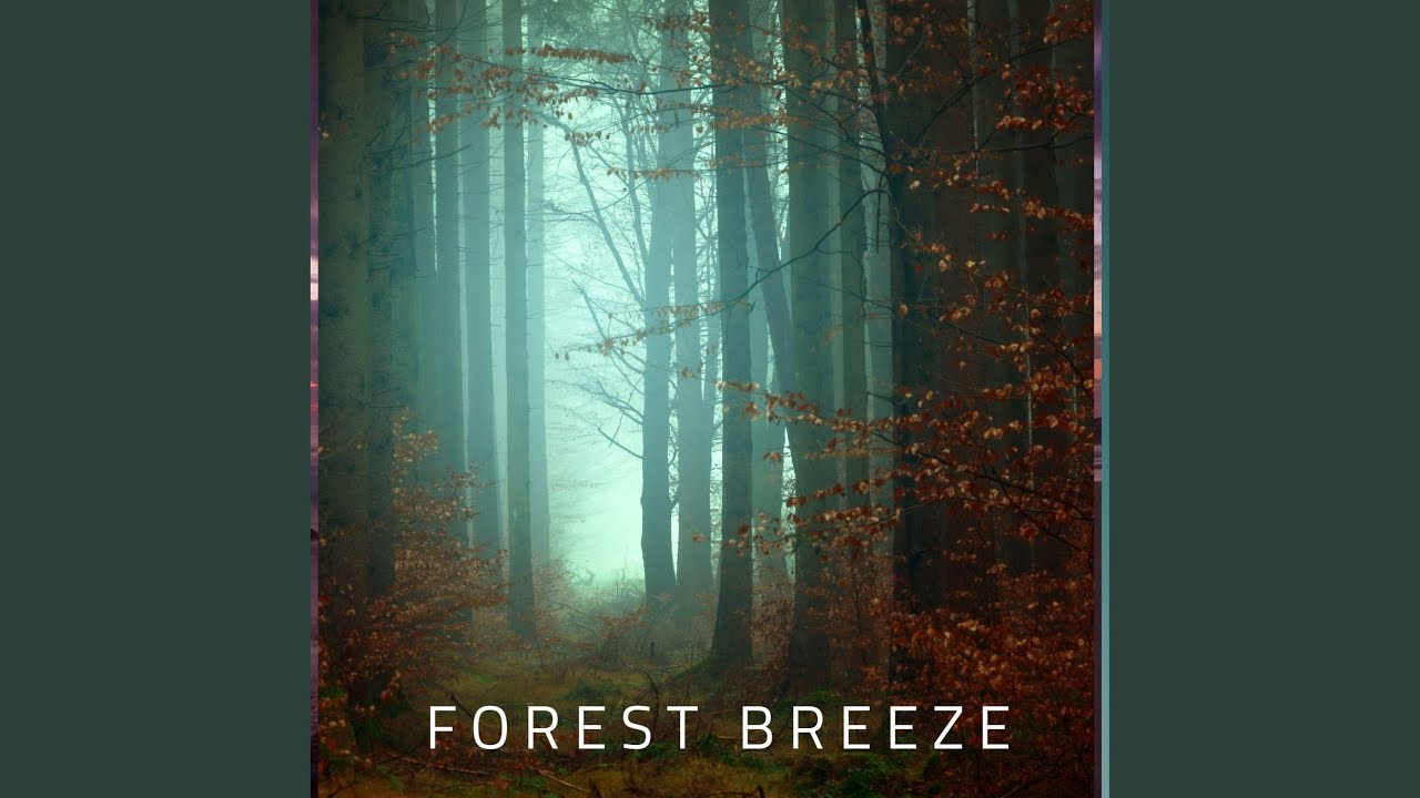 Forest Breeze