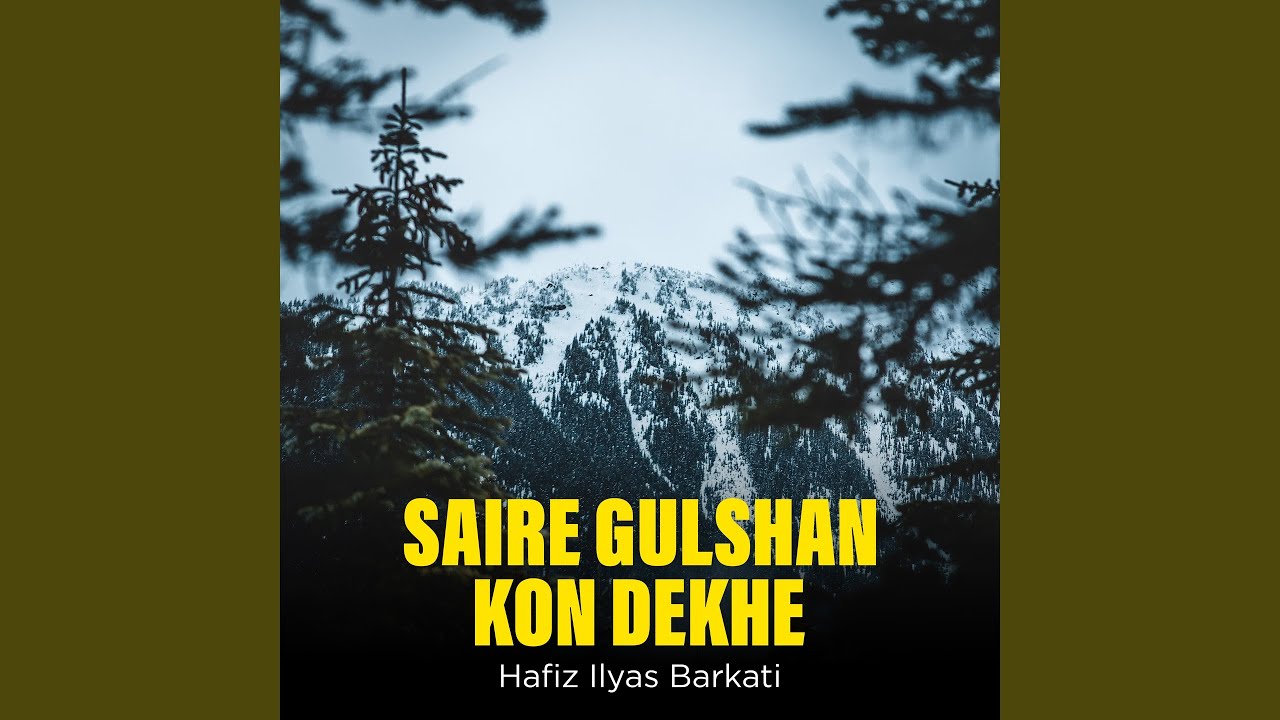 SAIRE GULSHAN KON DEKHE