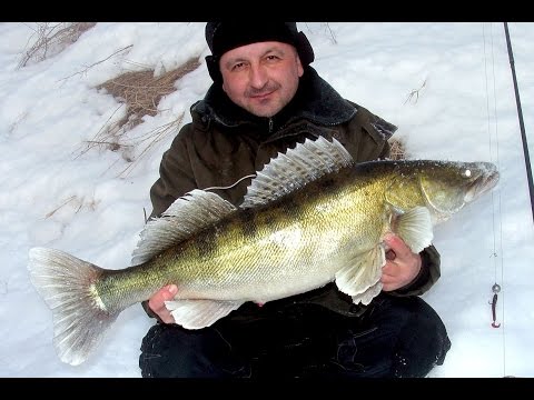 сергей савин джиг сергей савин джиг