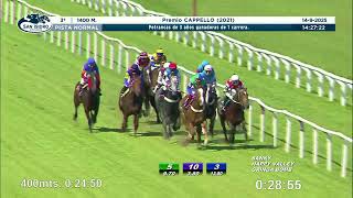 Vidéo de la course PMU PRIX CAPPELLO 2021