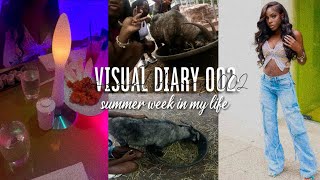 VISUAL DIARY 002 | summer week in my life: dinner date, the zoo, workout, etc..