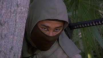 Ninja III: The Domination (1984)