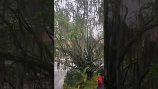 🇨🇴Rainy day here in #medellin #colombia