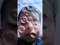 funny baby singing