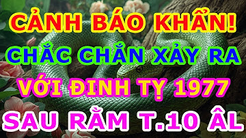 Lần Đầu Tiết Lộ Sự Thật Chấn Động Đinh Tỵ 1977 Sau Rằm Tháng 10 ÂL, 3 Bẫy Cực Sốc Chắc Chắn Xảy Ra