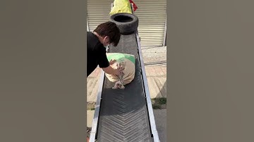 Folding belt conveyor. Fertilizer and cement loading and unloading saves time and effort.