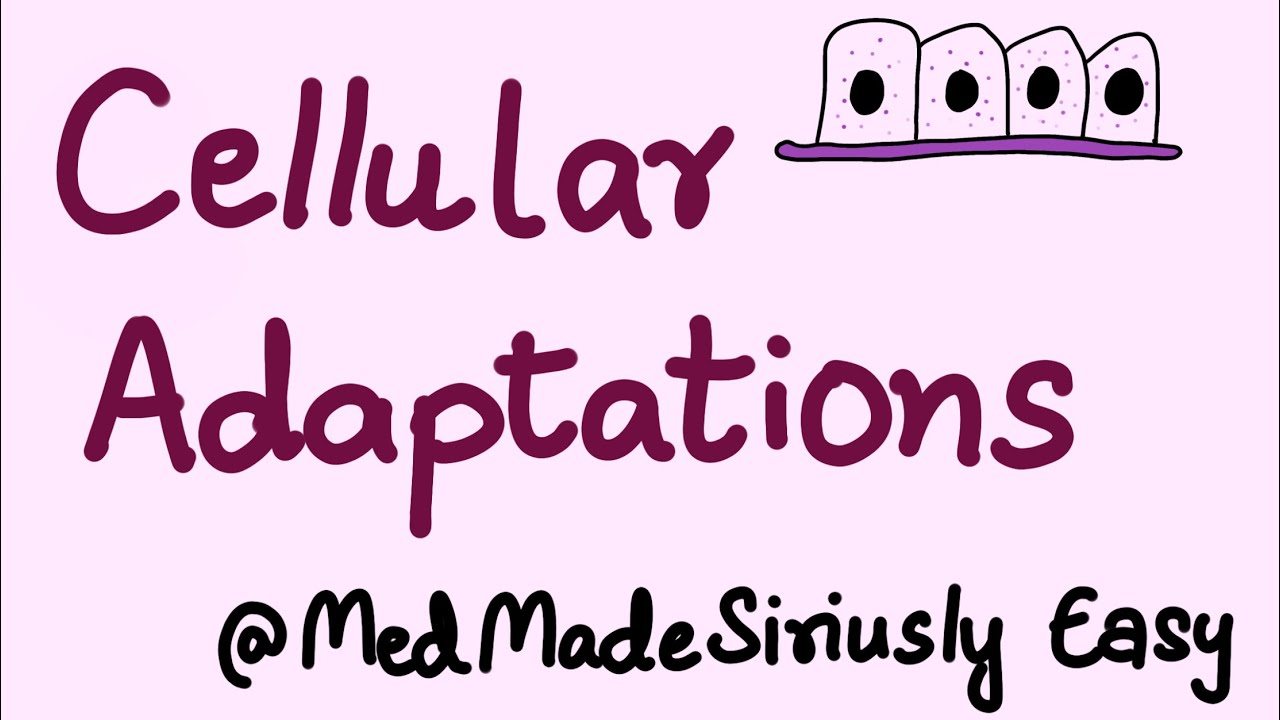 Cellular Adaptations General Pathology - YouTube