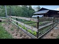 Regenerative Kitchen Garden - May Update