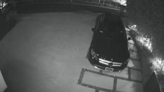 Sexual Assault Suspect Video 1 - 06/17/17