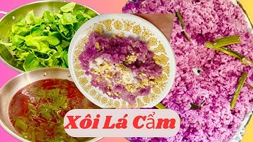 Chia Sẻ Cách Nấu Lá Cẩm và Cách Nấu Xôi Lá Cẩm Mền Béo và Lên Màu Đẹp