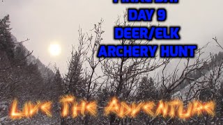 2015 Utah Archery Elk/Deer Hunt Day 9
