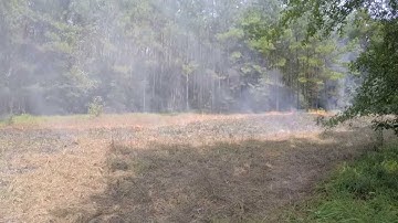 Food plots (part 2) - Burning and applying lime