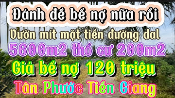 Bể nợ bán gấp 5600m2 đất vườn mít mặt tiền đường dal giá 120 triệu/1000m2 Tân Phước Tiền Giang