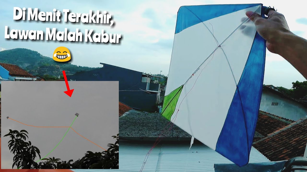 Ngebales Layangan Sumbing Kemarin, Adu Layangan Gede di Loteng Latihan Gibrik Ngos2an