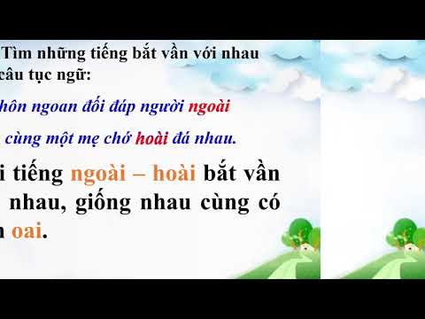 Tuần 1 - LTVC 4 - Luyện tập về cấu tạo của tiếng (video)