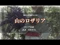 「山のロザリア」ロシア民謡 訳詞:丘灯至夫【懐かし名曲アルバム】