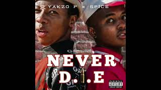 Spice & Yakzo P_ Never D.I.E 