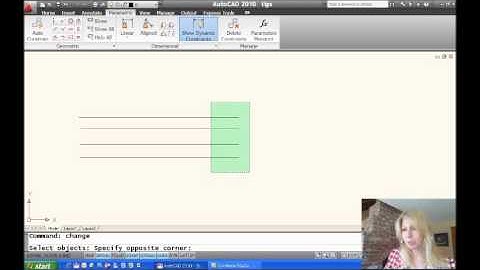 Change Line Lengths (Lynn Allen/Cadalyst Magazine)