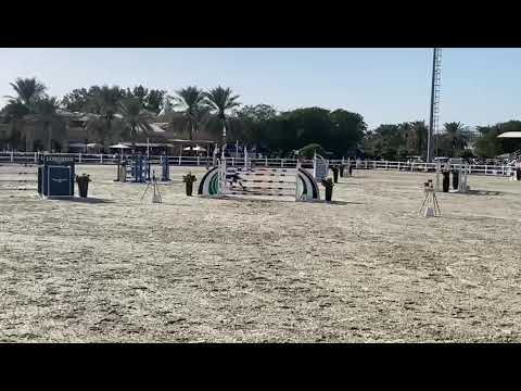 GAIT L | Dubai Polo Club | Grand Prix