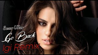 Sezer Ulker - Go Back (Igi Remix) Resimi