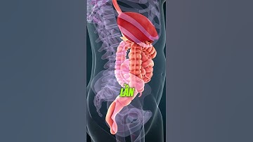 8 Dấu Hiệu Cảnh Báo Nội Tạng Đang Gặp vấn Đề #dinhduong #songkhoe #nguyenthethanh