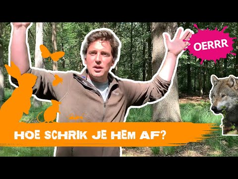 Video: Hoe gebruik je het woord vertederend?