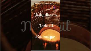 Video-Miniaturansicht von „Adavitharu kalinidayil|MosesTitus|Jeremy John|Acoustic Unplugged Song“