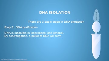 DNA ISOLATION   Simple Animated Tutorial