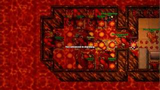 tibia test server