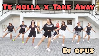 DJ TE MOLLA X TAKE AWAY REMIX FULL BASS TERBARU -DJ OPUS - TIKTOK VIRAL - SENAM KREASI BYJERO MELATI