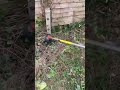 Before VS After Garden Makeover! #dayinthelife #dadlife #selfemployed #dayinmylife #gardening