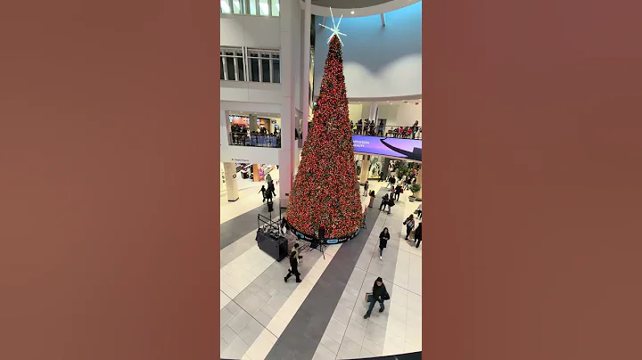 Black Friday at Calgary Chinook! 🛍️Canada