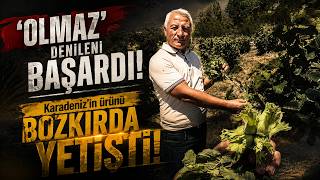 Bozkırda Fındık Yetiştiren Yozgatlı Üretici İlk Verimi Almaya Başladı