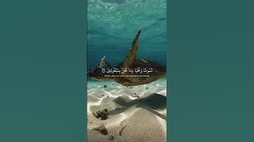 قرآن كريم 💗✨ #roblox #النظافه #mm2 #الغلا #احبكممم #اكسبلور #اعتني #روبلوكس #اهميه #memes #الغلا #ه#