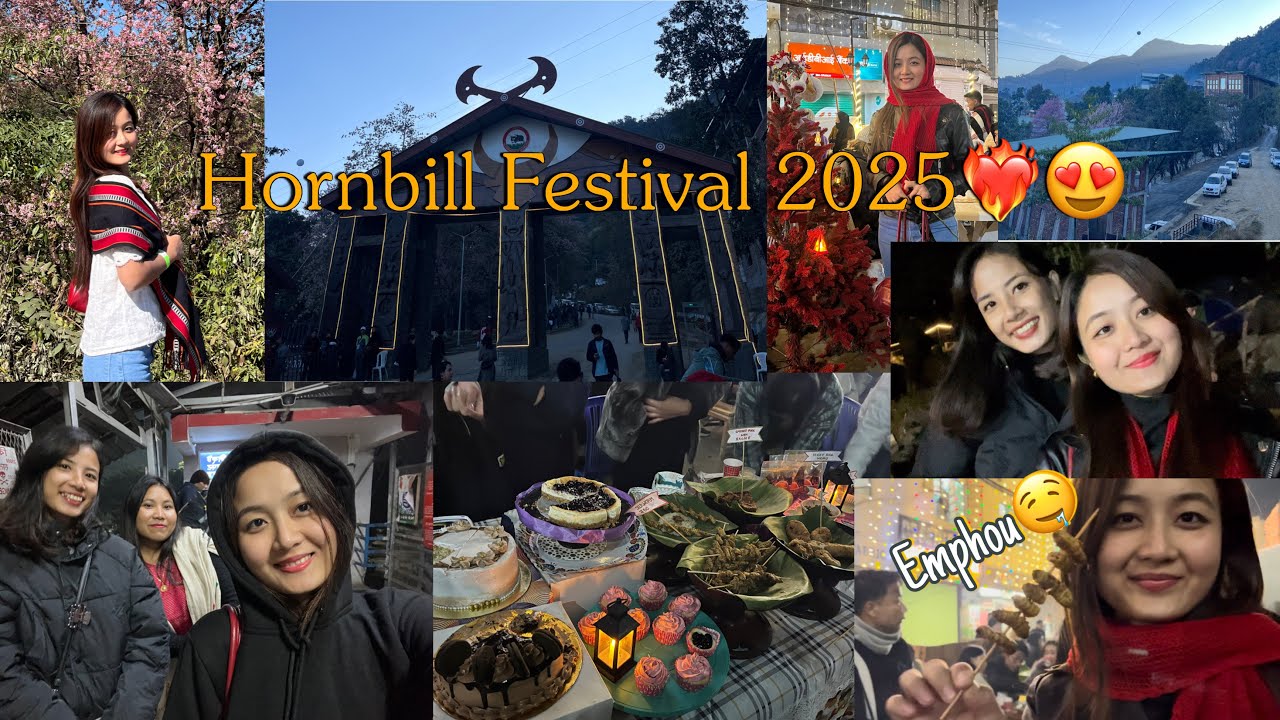 Фестиваль птиц-носорогов 2025 ❤️😍 Ночной карнавал в Кохиме 2025, часть 1