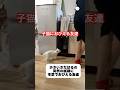 子猫の威嚇に本気でビビる友達😂　　　#子猫　#猫　#ねこ　#面白い猫 #面白い