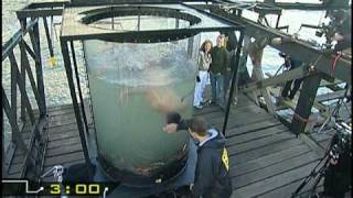 Fear Factor UK - Sn 1: Ep.12