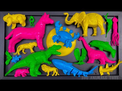 Cleaning sea animals, sharks, dolphins, hammerhead sharks, Nemo fish, octopus, marlin fish, eleph...