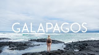 Cruising the Galapagos with Ecoventura